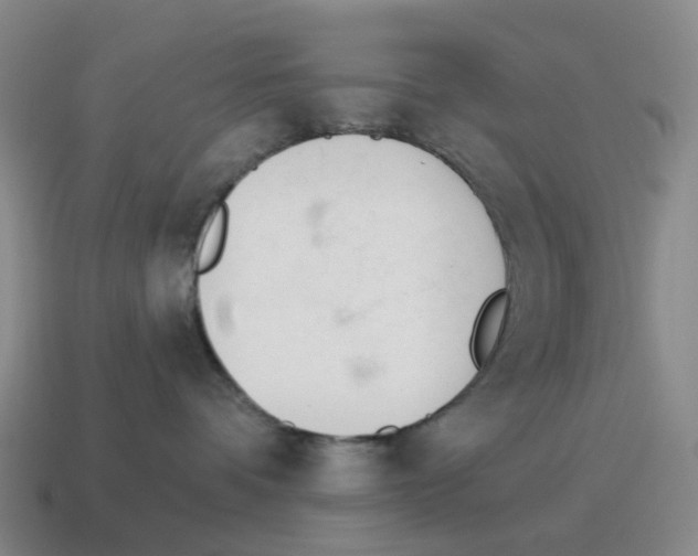 X0000114240336200911061553