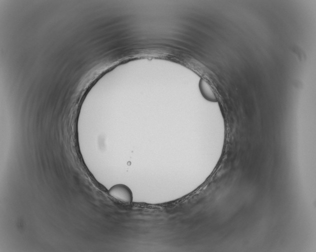 X0000114240337200911061552