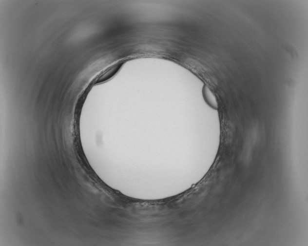 X0000114240338200911061552