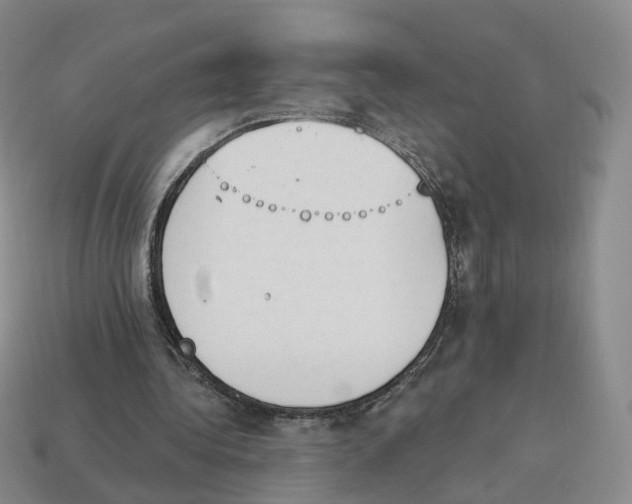 X0000114240340200911061552