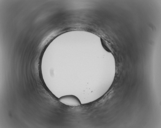 X0000114240341200911061552