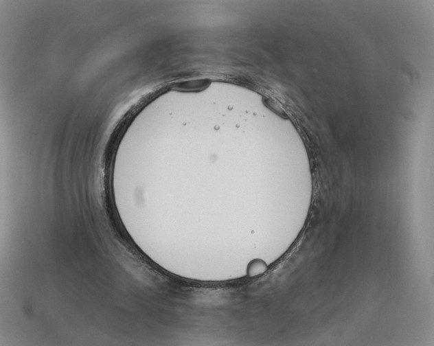 X0000114240342200911061552