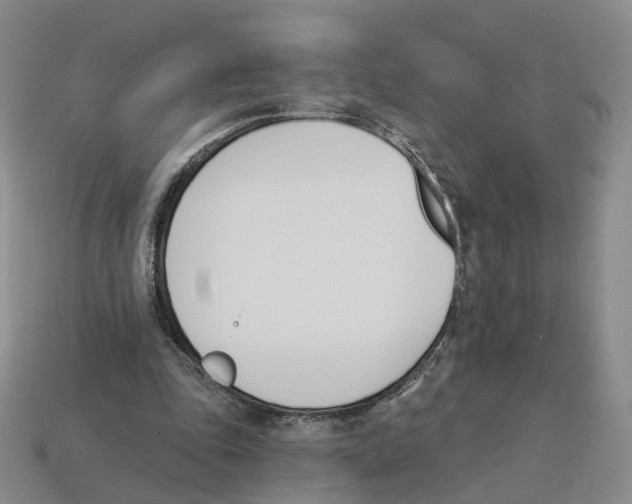 X0000114240343200911061552