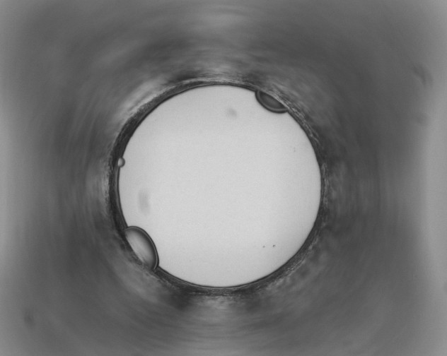 X0000114240344200911061552