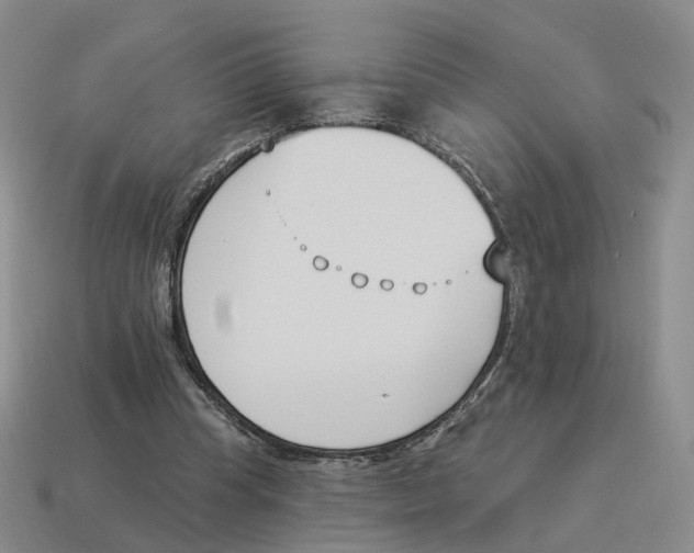 X0000114240345200911061552