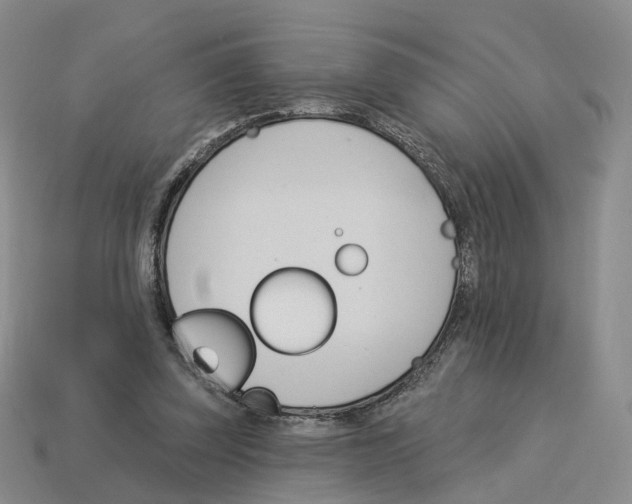 X0000114240347200911061552