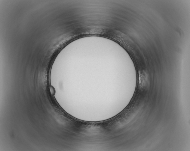 X0000114240348200911061553