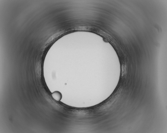 X0000114240349200911061553