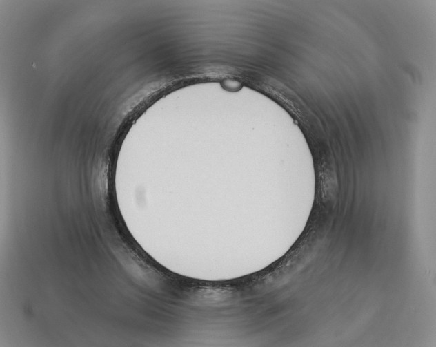 X0000114240350200911061553