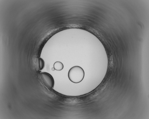 X0000114240351200911061553