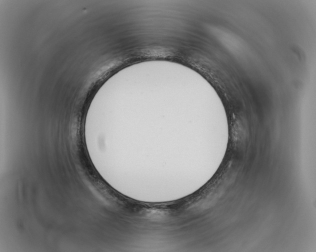 X0000114240352200911061553