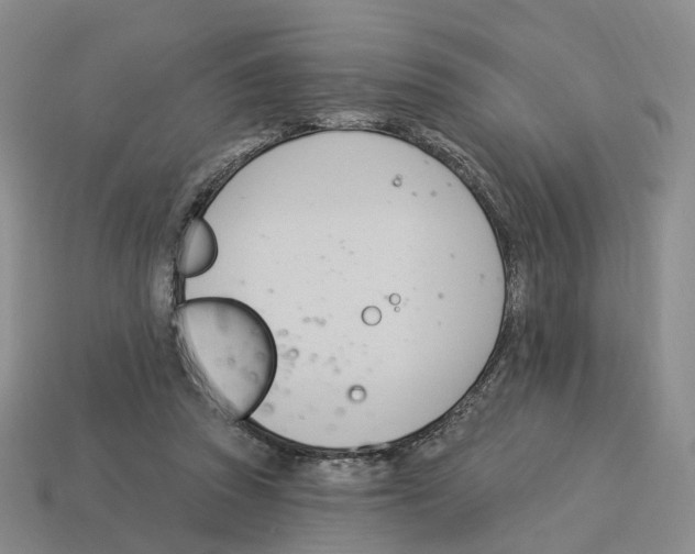 X0000114240353200911061553