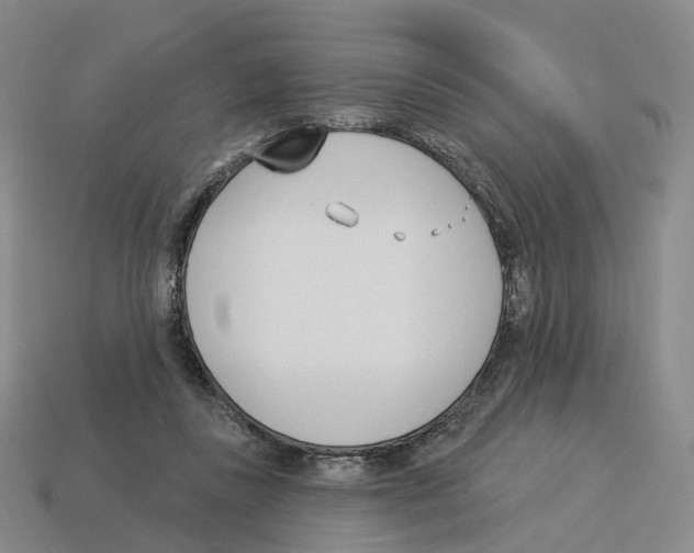 X0000114240355200911061553