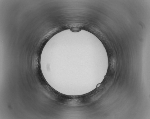 X0000114240356200911061553