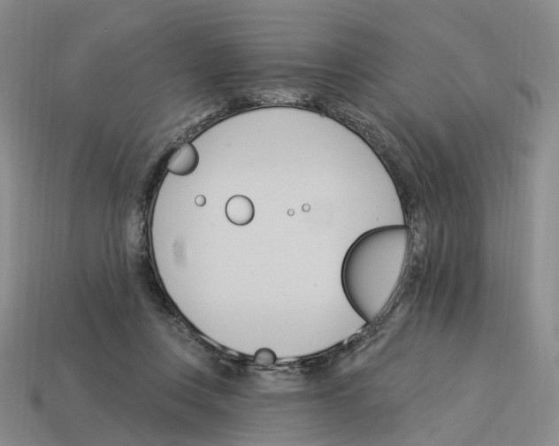 X0000114240359200911061553