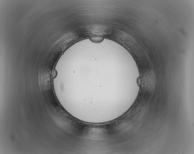 X0000114240360200911061553