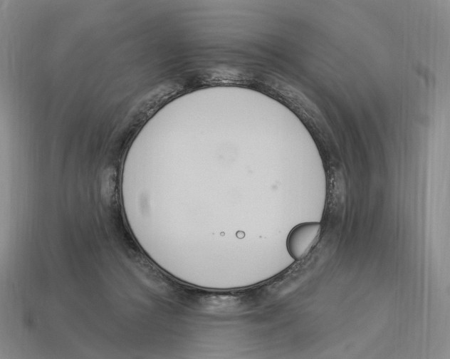 X0000114240361200911061553