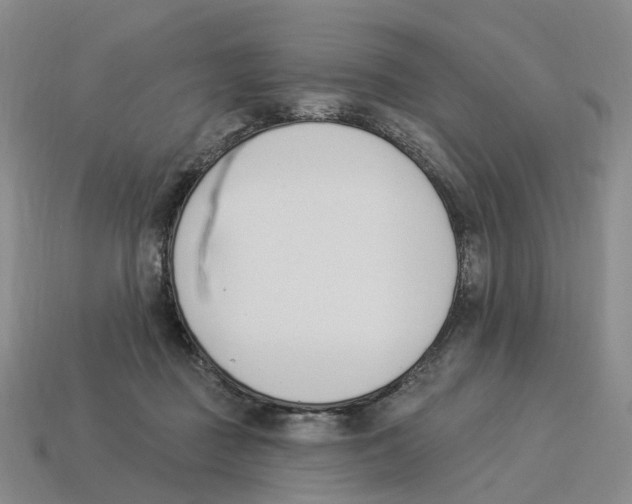 X0000114240363200911061553