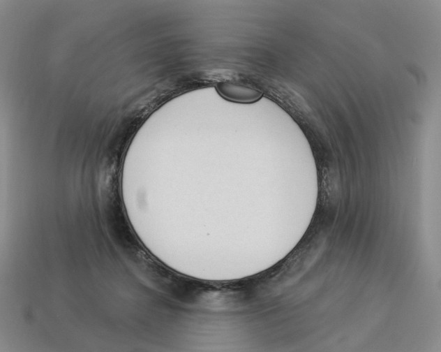 X0000114240364200911061553