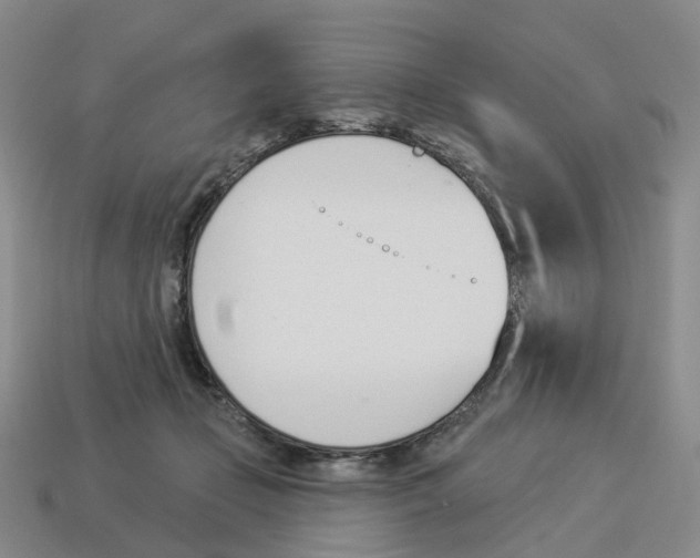 X0000114240365200911061553