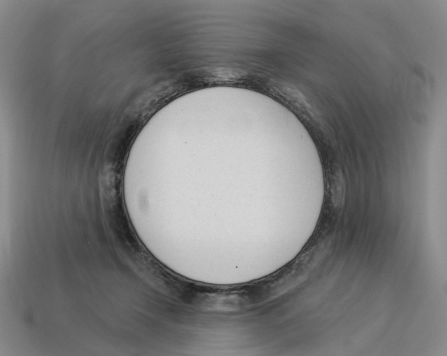 X0000114240366200911061553