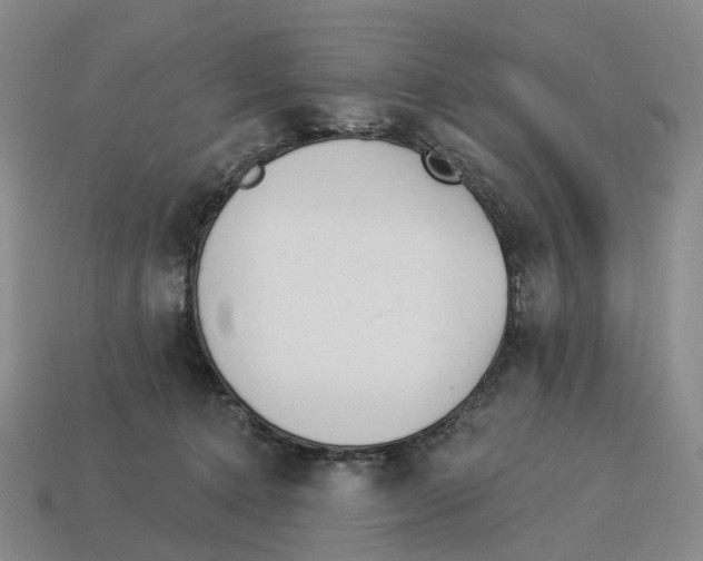 X0000114240368200911061553