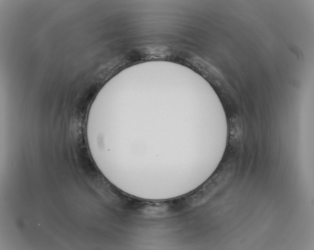 X0000114240369200911061553