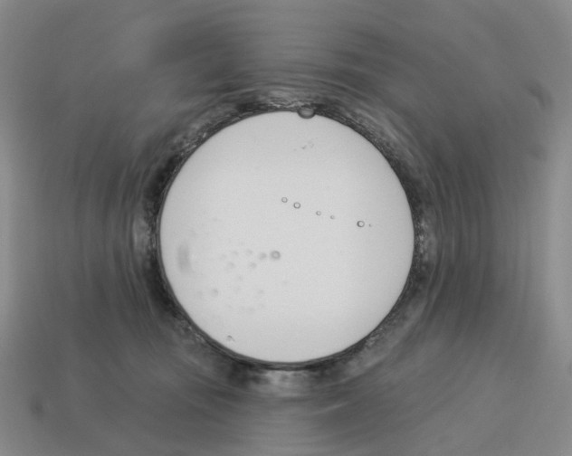 X0000114240371200911061553