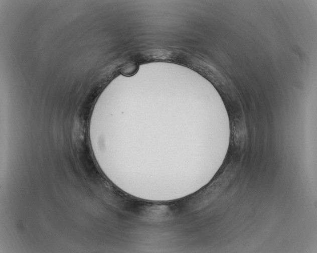 X0000114240374200911061553