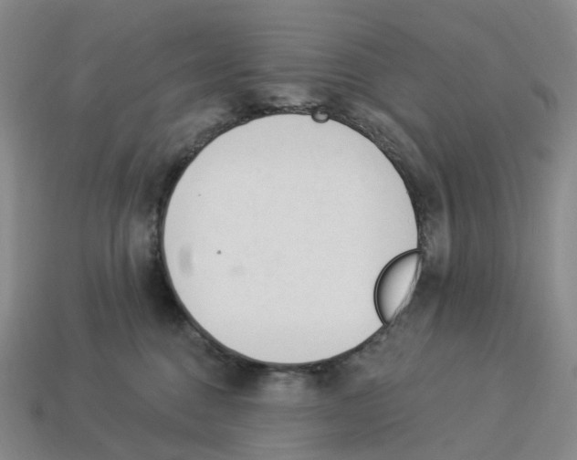 X0000114240376200911061553