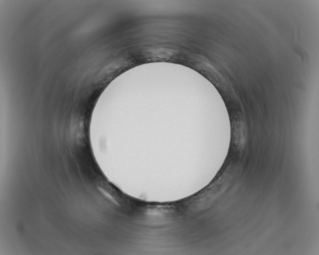 X0000114240378200911061553