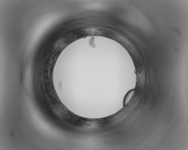 X0000114240381200911061553