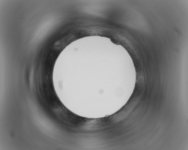 X0000114240382200911061553