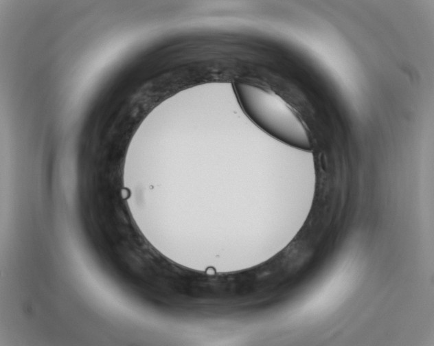 X0000114240383200911061553