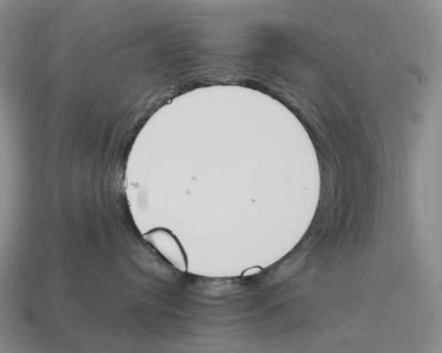 X0000114240384200911061553