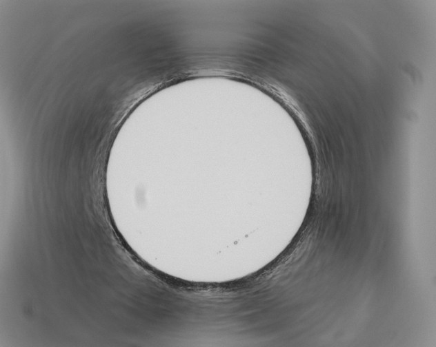 X0000114240385200911061552