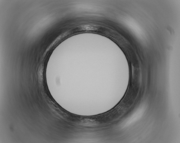 X0000114240387200911061552