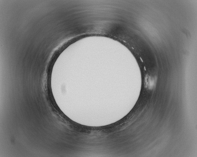 X0000114240388200911061552