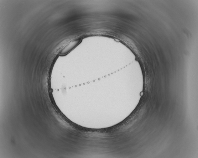 X0000114240389200911061552