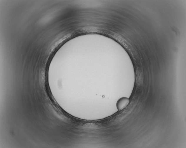 X0000114240390200911061552