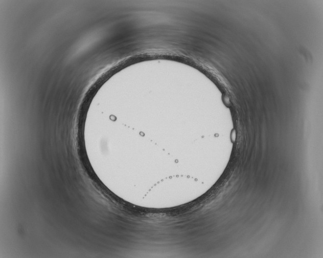 X0000114240391200911061552