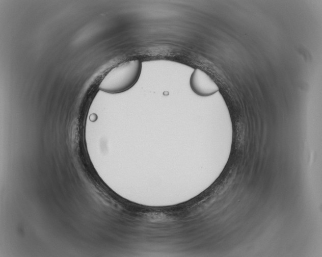 X0000114240392200911061552