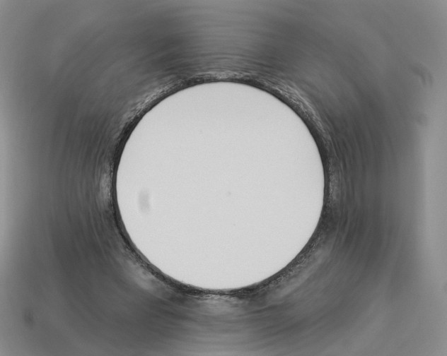 X0000114240393200911061552