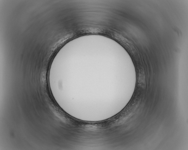 X0000114240394200911061552