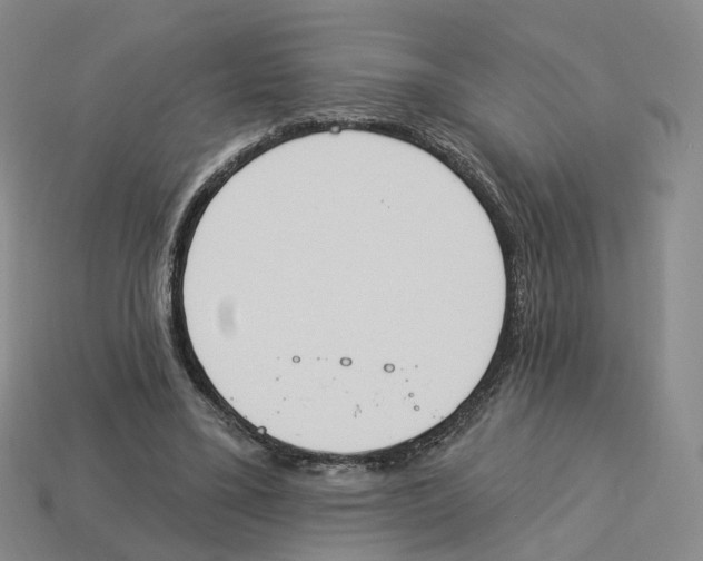 X0000114240395200911061552