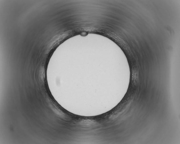 X0000114240397200911061552