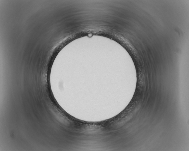 X0000114240399200911061552