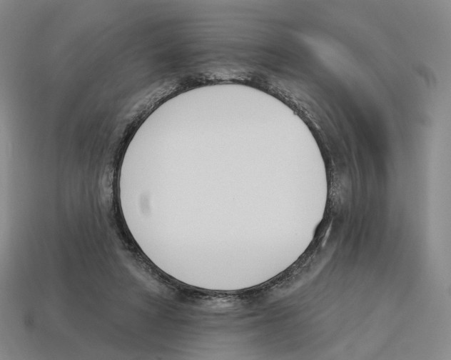 X0000114240402200911061552