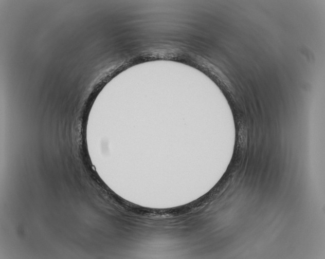 X0000114240403200911061552