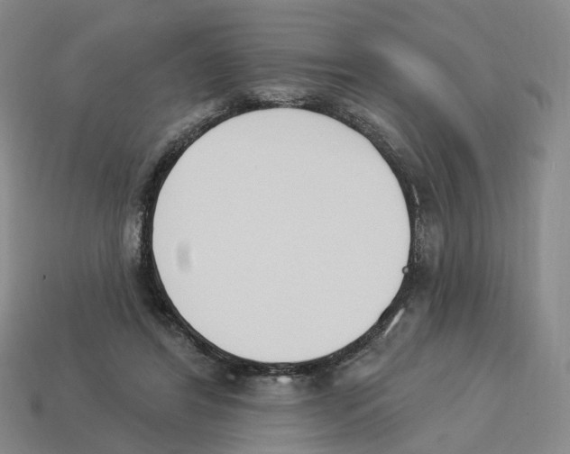 X0000114240404200911061552